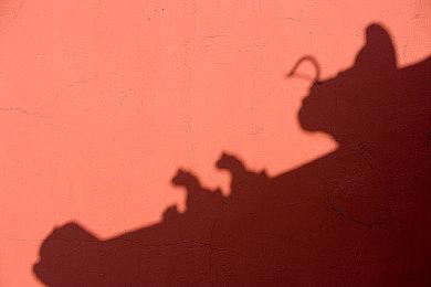 《刀剑神域 碎梦边境》Steam预购 国区售价298元